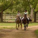 Horseback riding