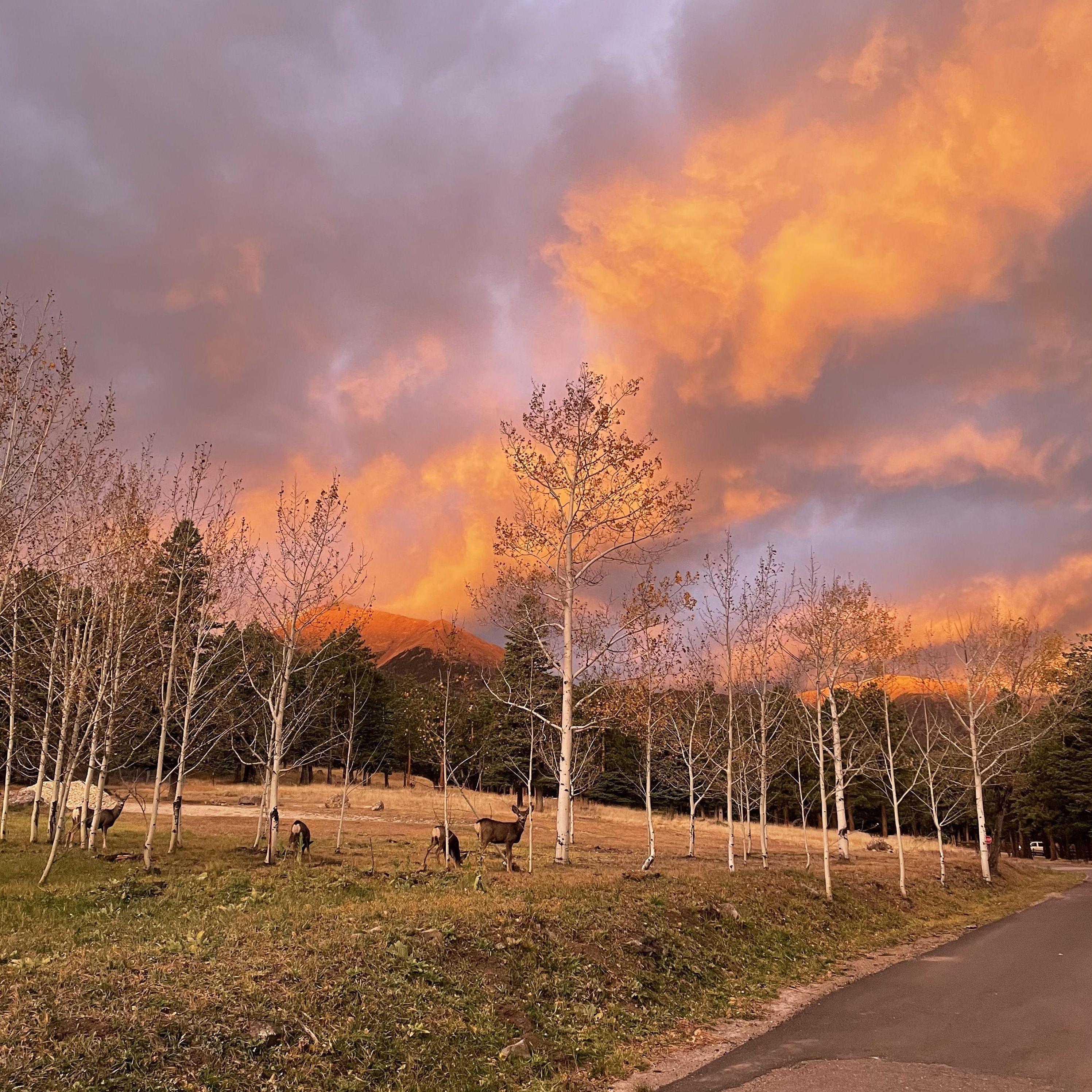 Where it all started - Sky Ranch Horn Creek in Westcliffe, CO