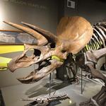 Buffalo Museum of Science