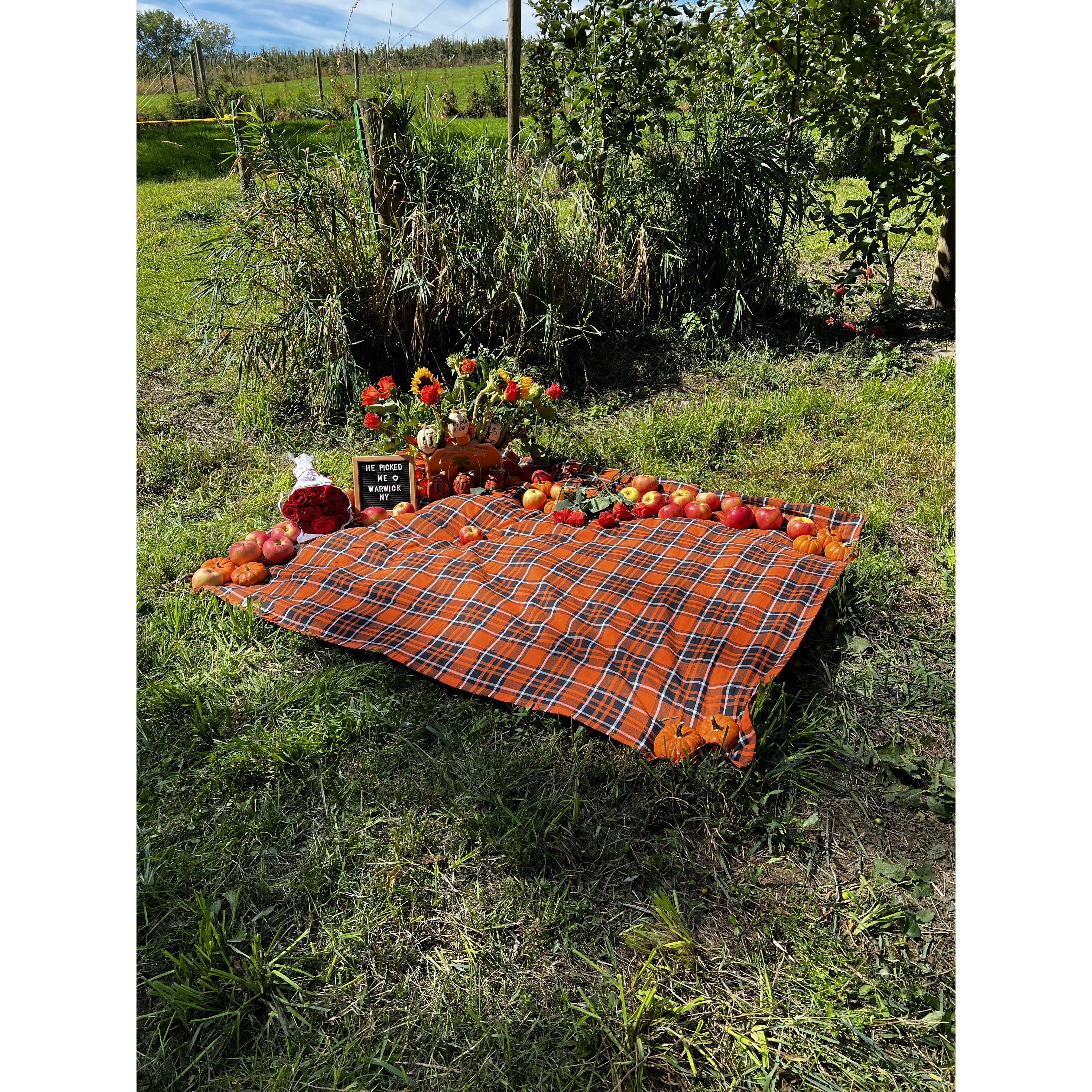 Warwick Winery, Warwick NY, where Tom popped the question! 09.24.22