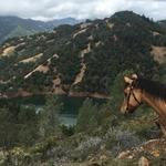 The Ranch At Lake Sonoma