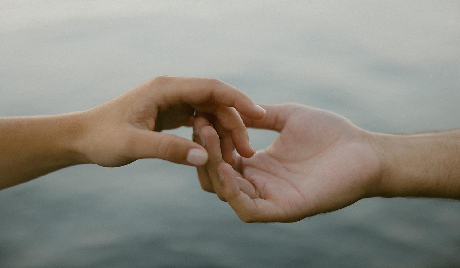 The Wedding Website of Ally Sickle and Cade Musich