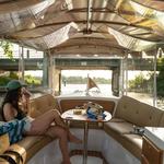 Electric Shores- Boat Rentals