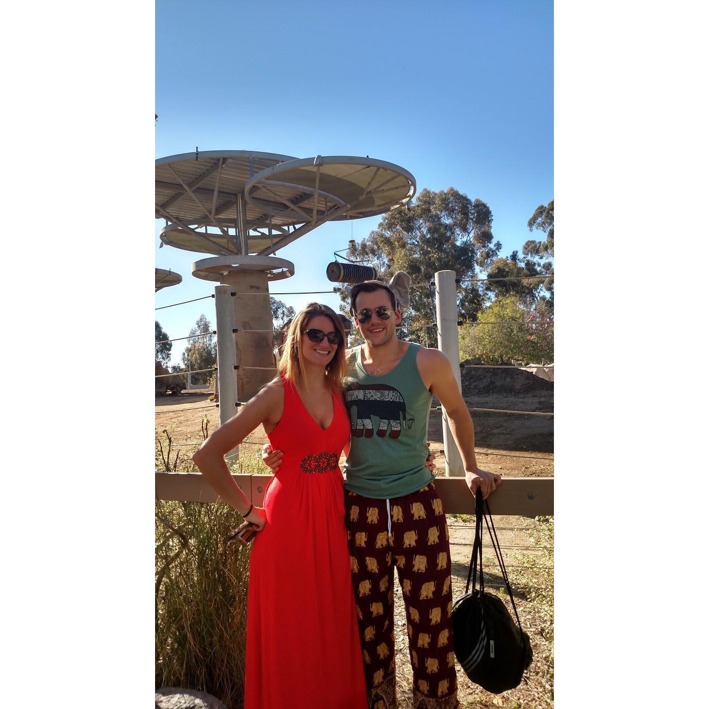 Having an elephantastic time at the San Diego Zoo