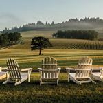 Willamette Valley Wine Tasting