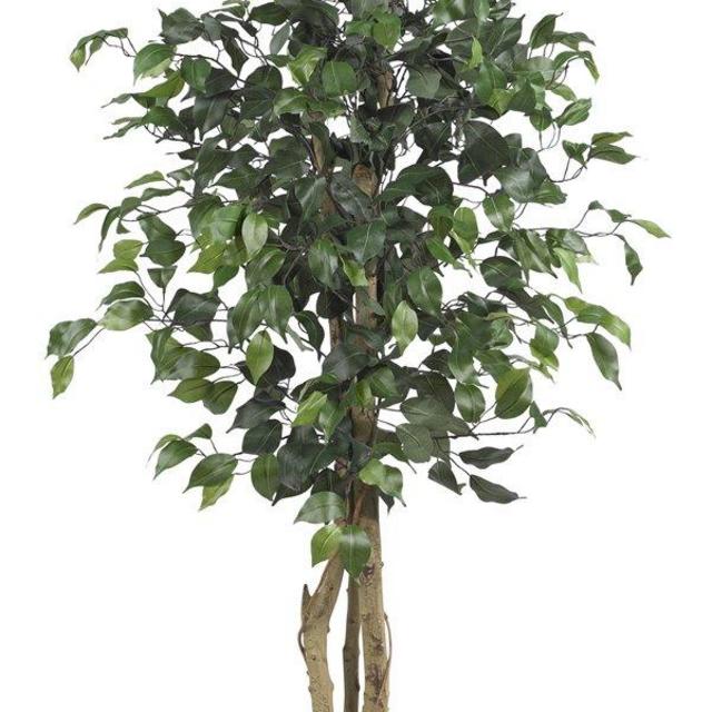 Nearly Natural 5299 Ficus Silk Tree, 4-Feet, Green
