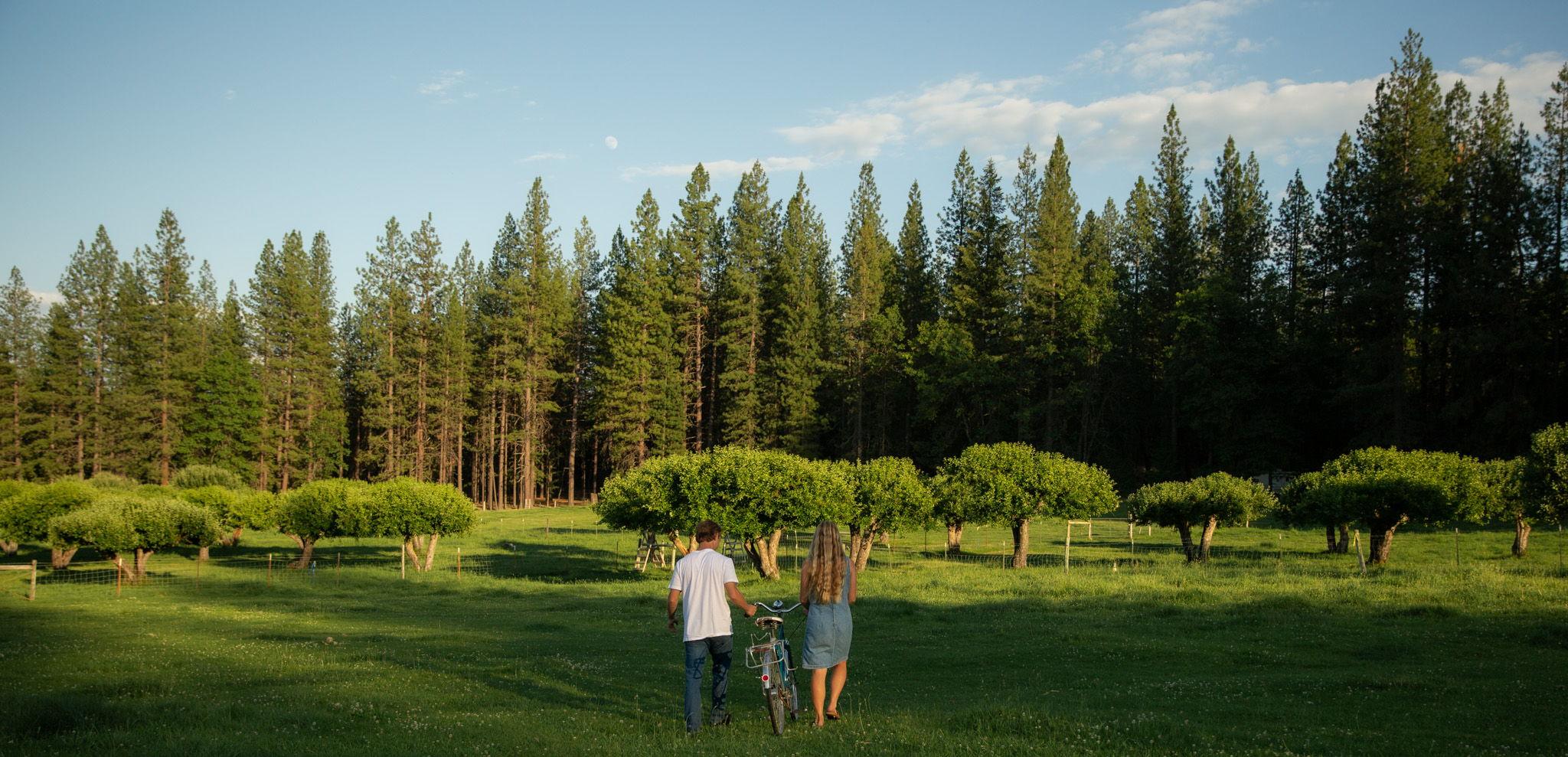 The Wedding Website of COLTON DOWNEY and RUTHIE SWART