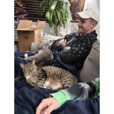 Happy cat family