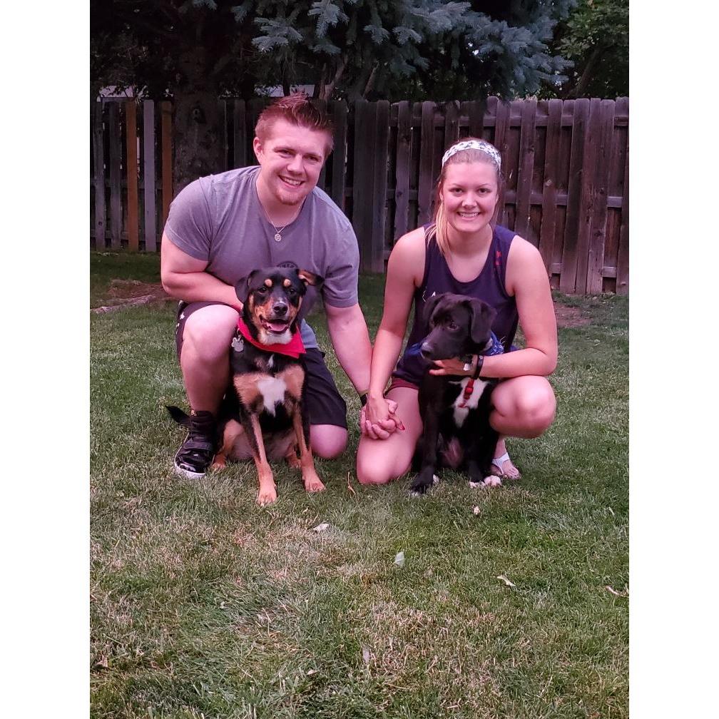 4th of July with the Doggos and their bandanas