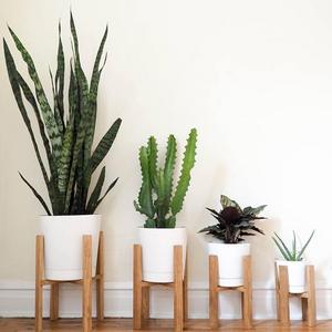 Vega Brown Mid Century Modern Plant Stand Duo Set