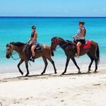 Cruzan Cowgirls - SIGHTSEEING