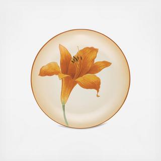 Colorwave Floral Accent Plate