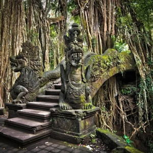 Visit the Sacred Monkey Forest in Ubud