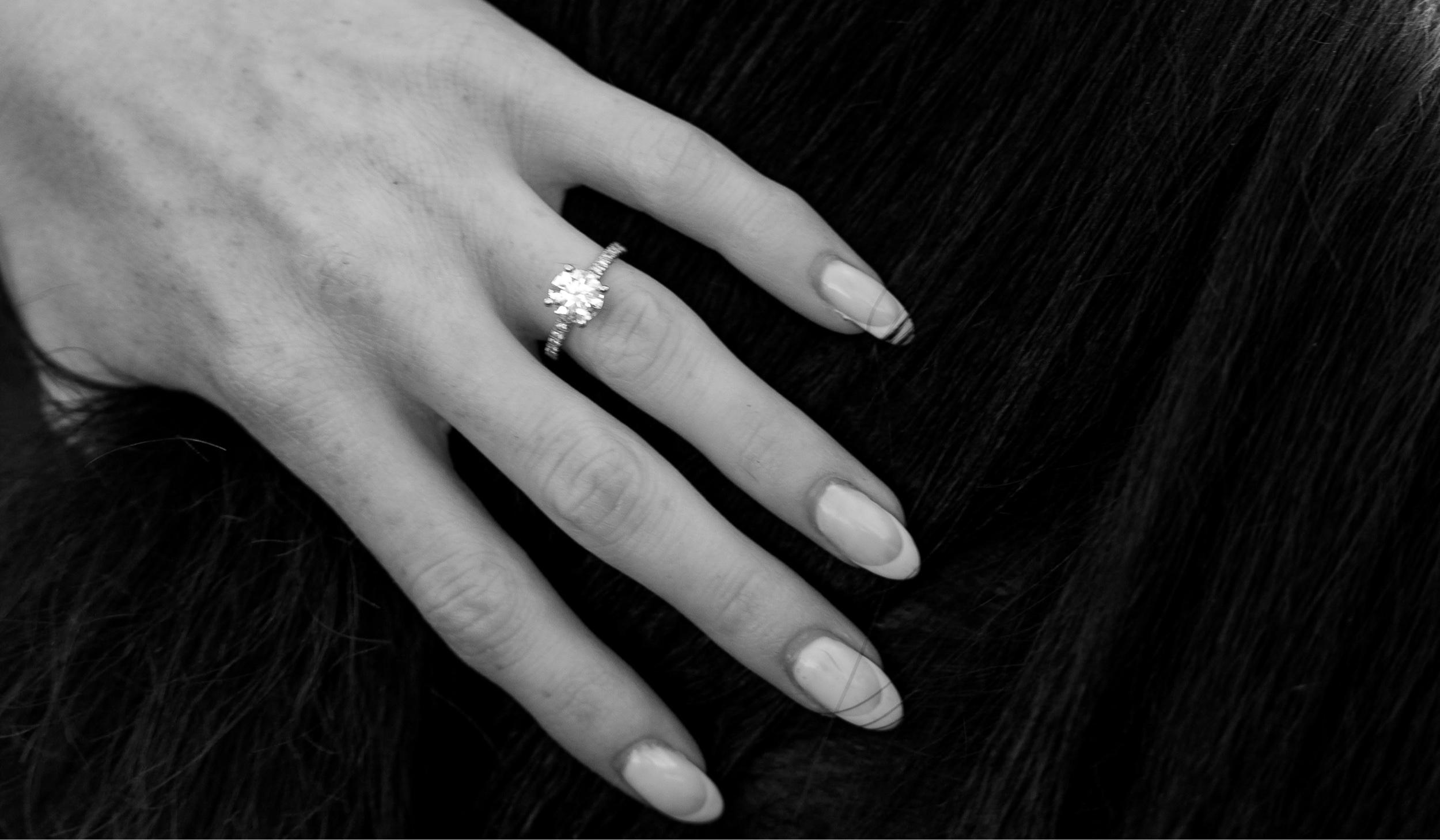 The Wedding Website of Samantha Sapienza and Nicholas Laudonio