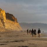 Torrey Pines State Natural Reserve