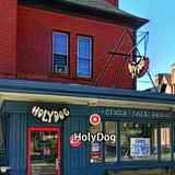 HolyDog