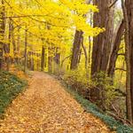 Hiking and Biking Trails