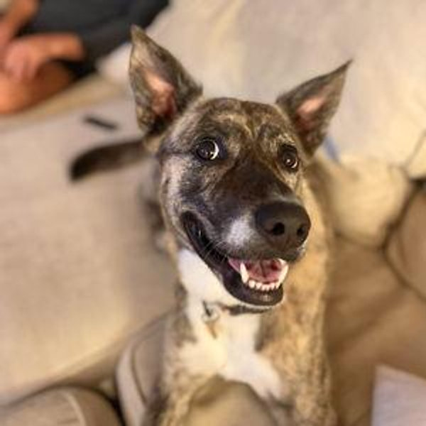 Etta's Cookie Fund