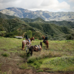 Horseback Riding - Sunny Dust Ranch