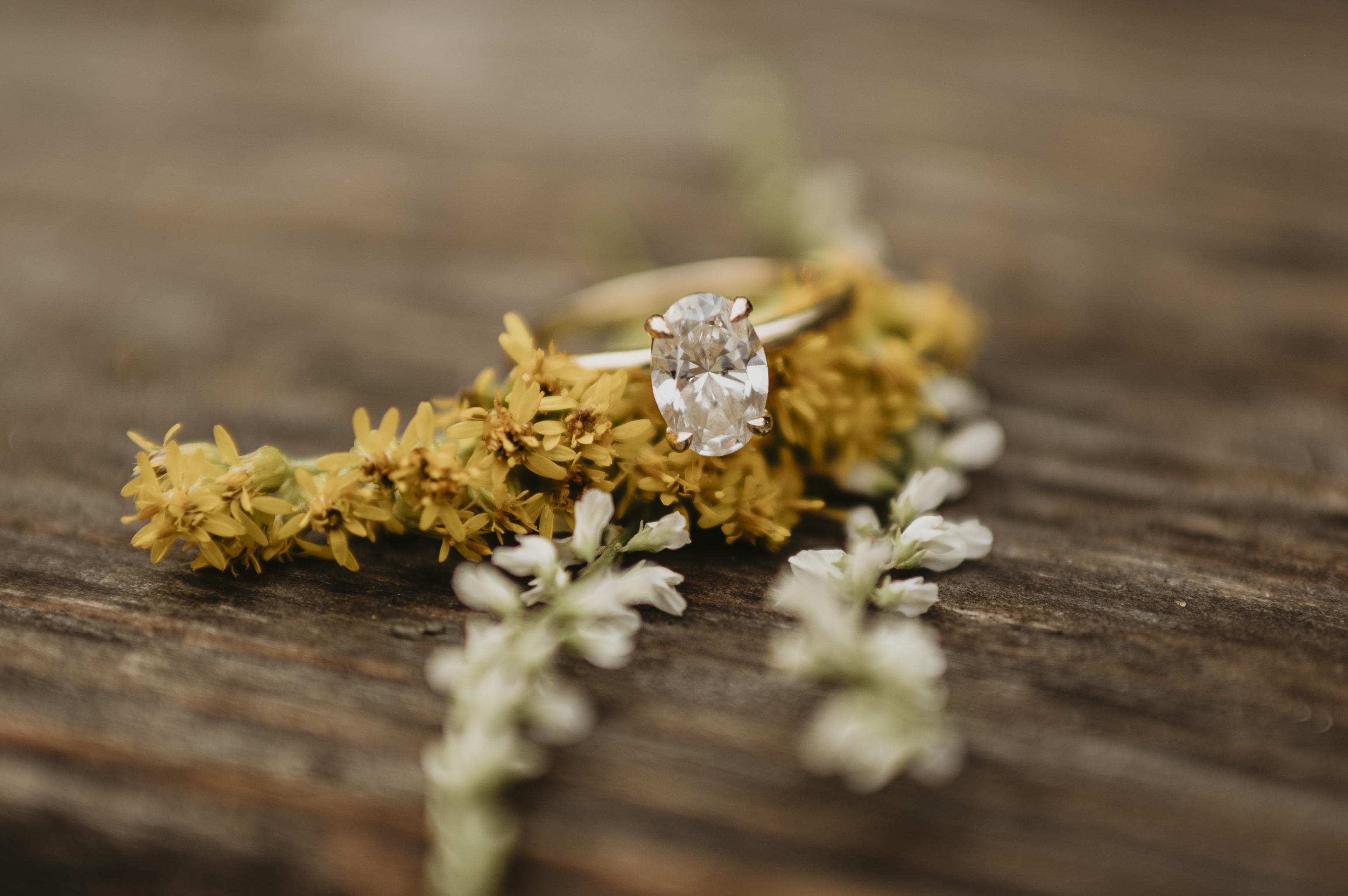 The Wedding Website of Emily Heppner and Brock Zakreski