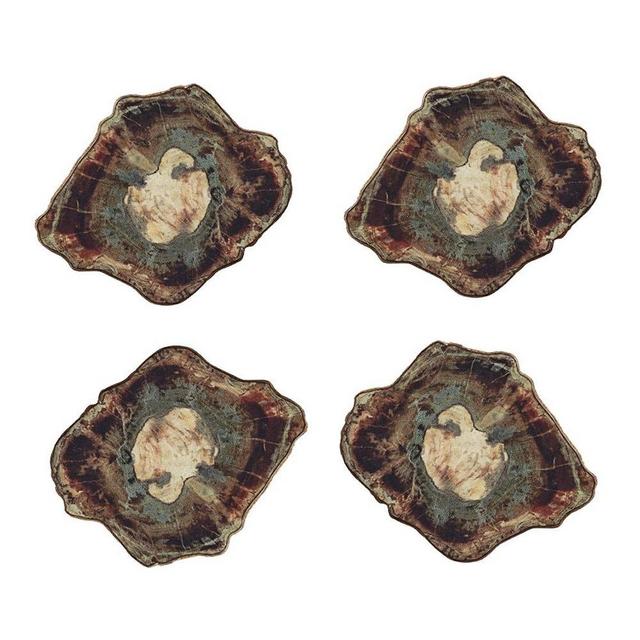 Fossil Coaster - Multi - Set of 4