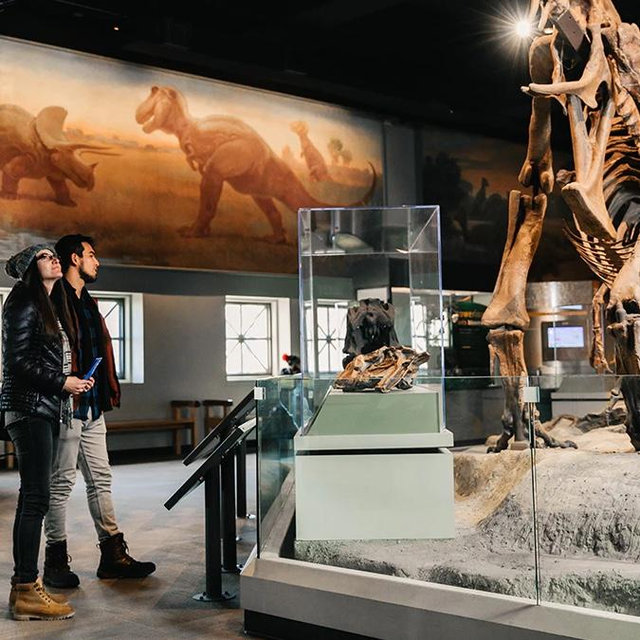 Field Museum Membership, 1 Year