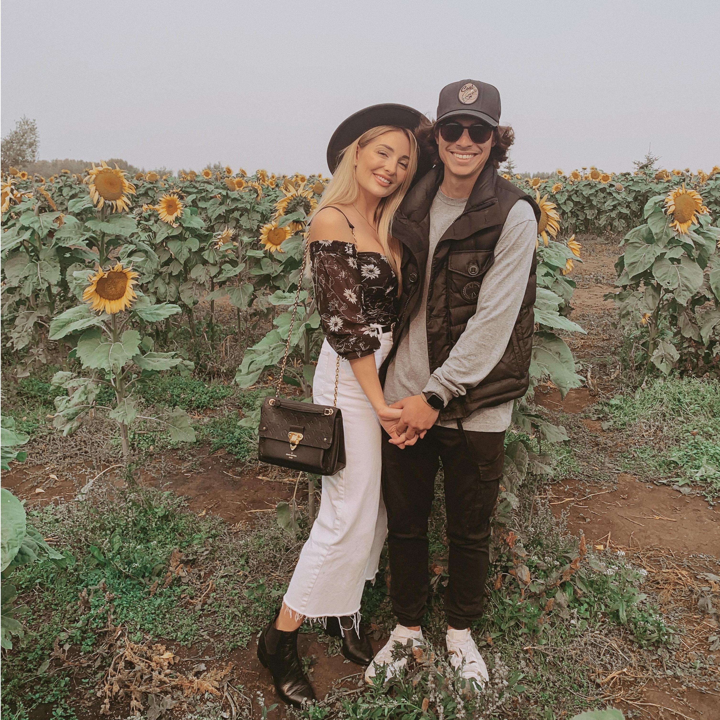 Bowden Sunflower Farm, 2020
