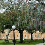 Tulane University