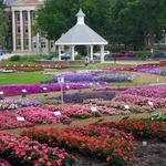 Annual Flower Trial Garden