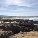 Asilomar State Beach