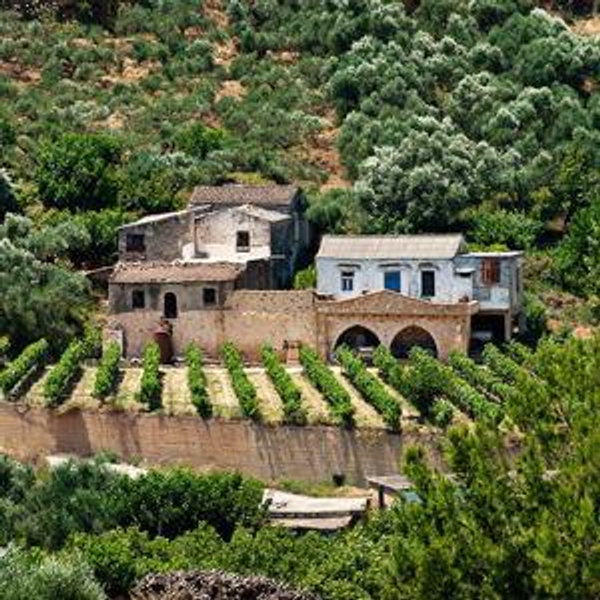 Winery Tour in Crete, Greece