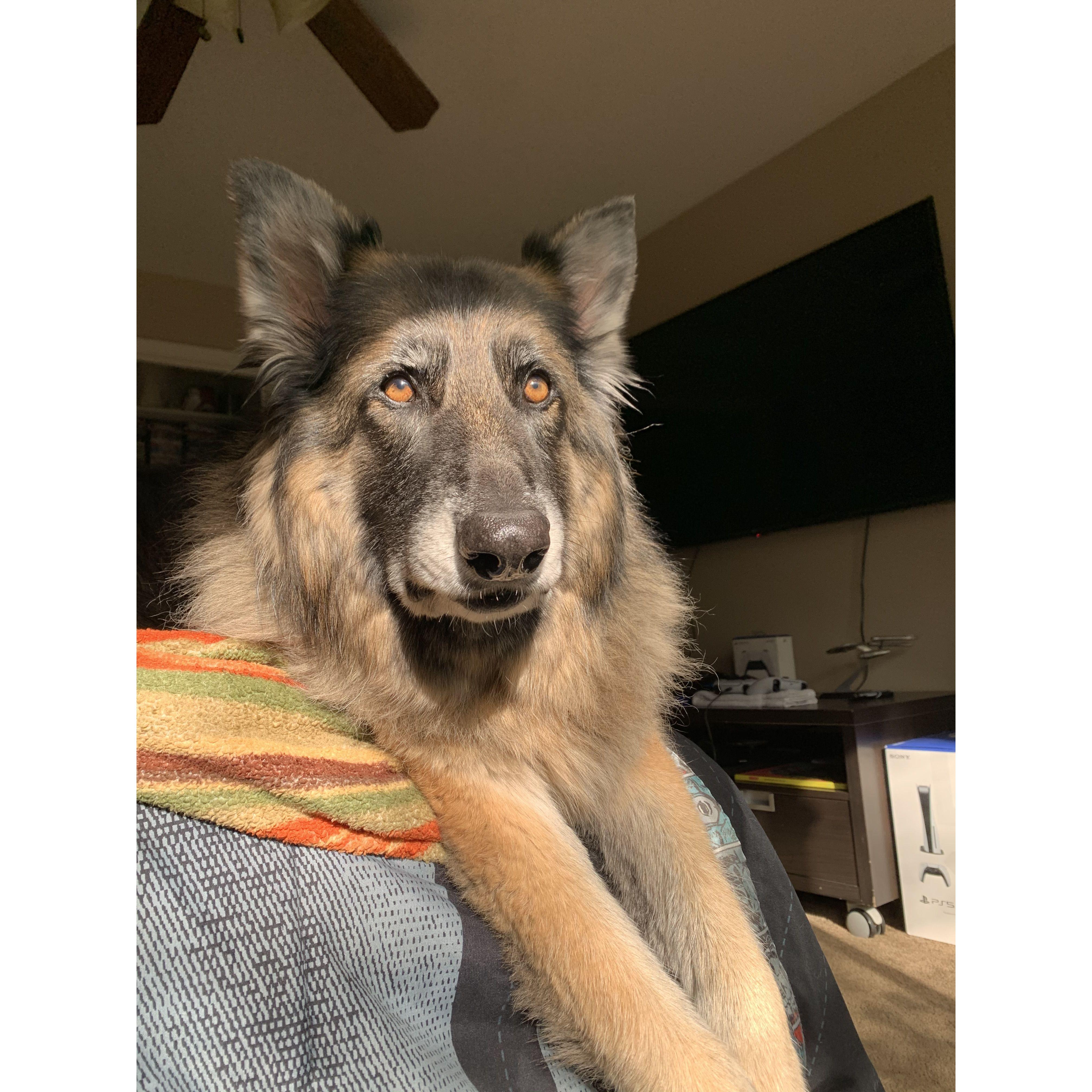 May 2020! We adopted our wonderful fur baby named Lucy. In 2020 our camera album became filled with pictures of her instead of us!