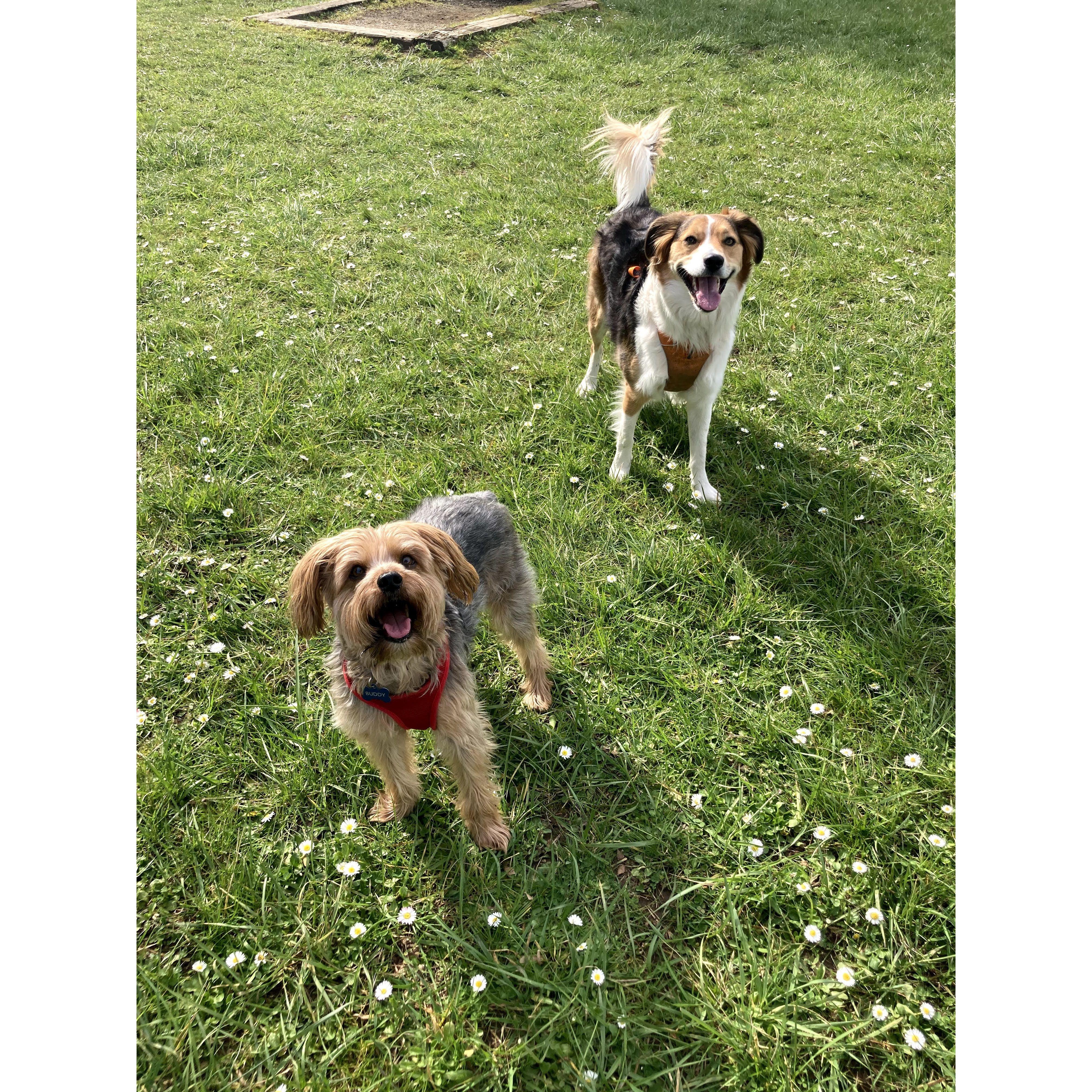 The reason we met in one photo...