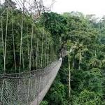 Kakum National Park