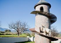 Fairview Wine and Cheese