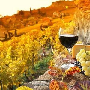 Chianti Half Day Wine Tour