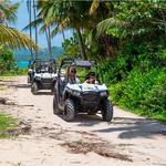 Excursions and tours