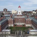 Harvard University