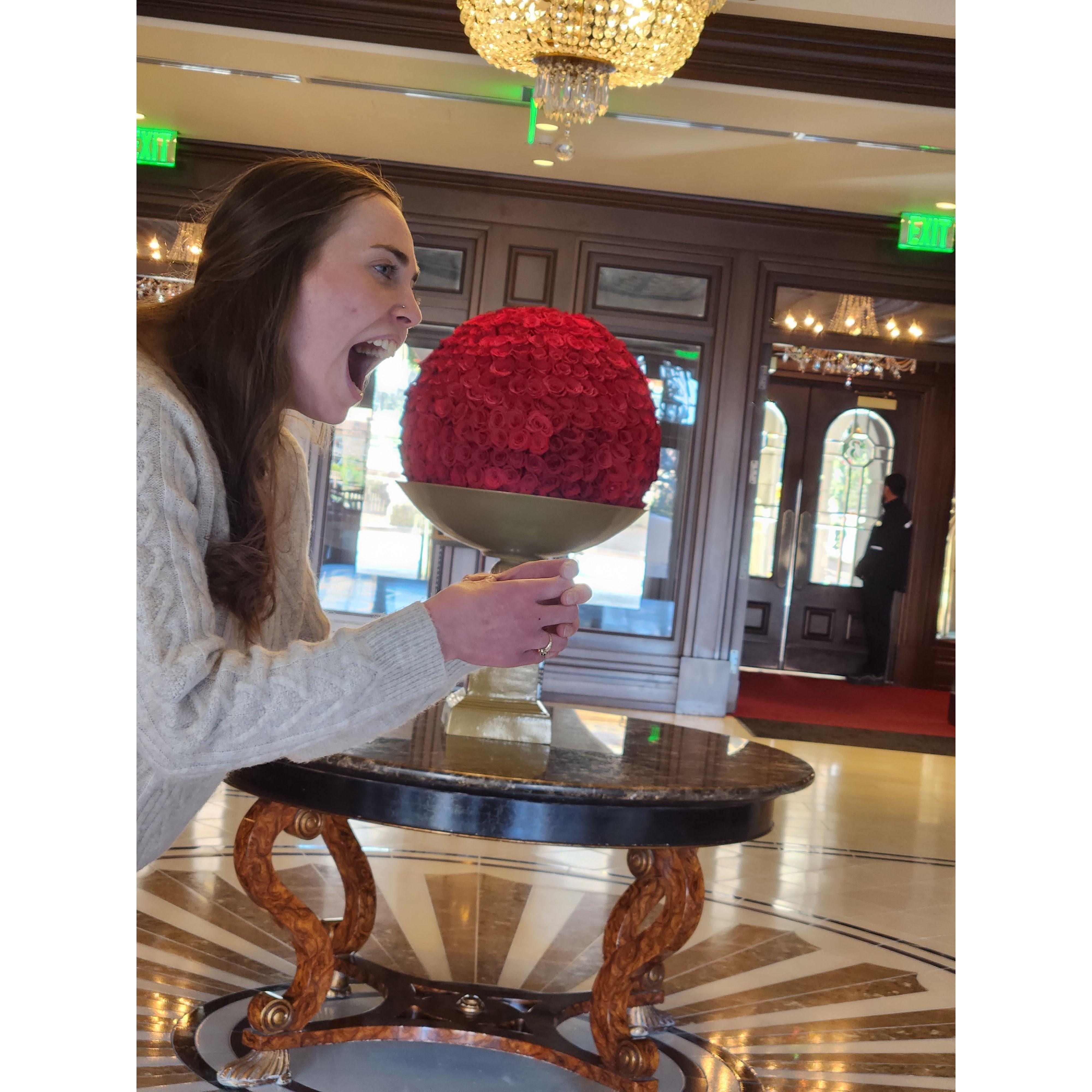 Jan 5: Someone told us to take life slow and smell the roses. Emily took that a step further. Just a little nibble...