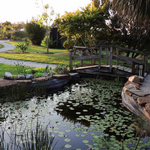 Lakes Park