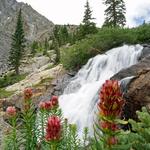 Hike McCullough Gulch