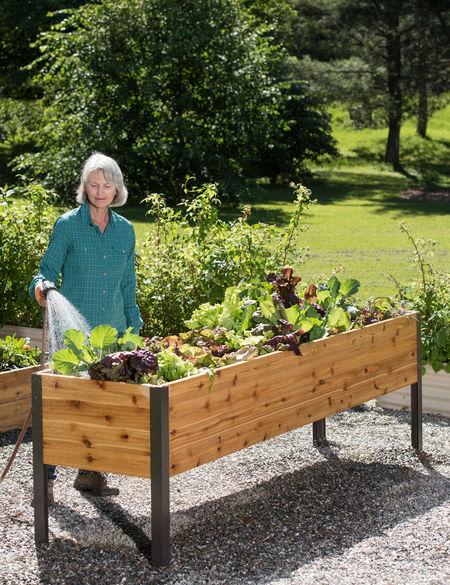 2’ x 8’ Elevated Cedar Planter Box