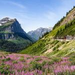 Going-to-the-Sun Road