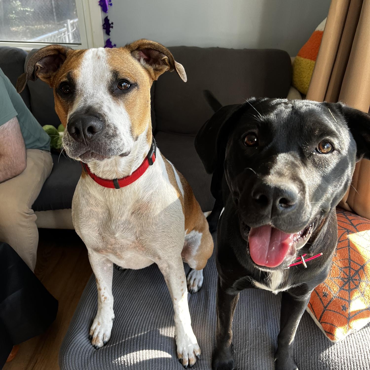Such good girls