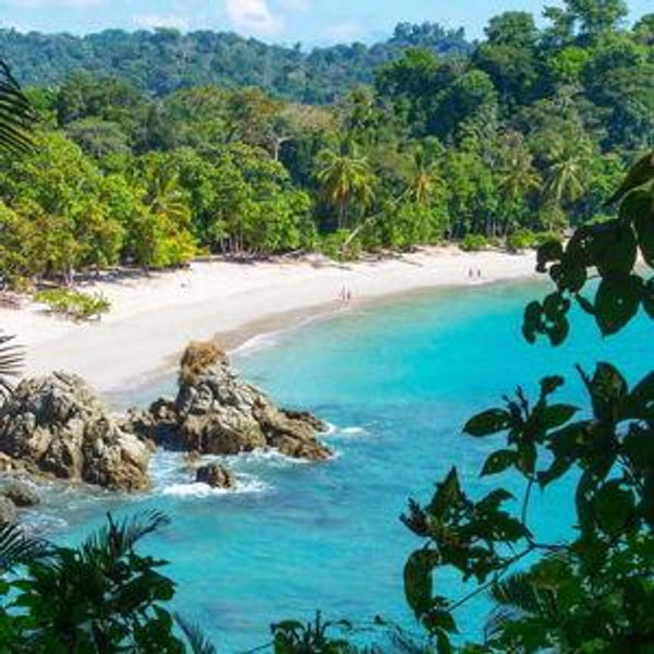 Chris & Milo's Latin American Honeymoon