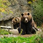 Woodland Park Zoo