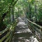 Corkscrew Swamp Sanctuary