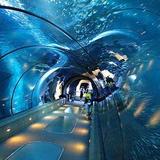 Newport Aquarium