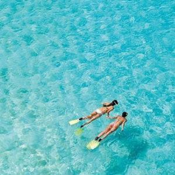 Snorkeling For Two