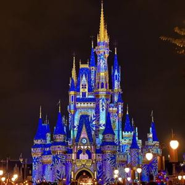 Disney World Honey Moon Fund